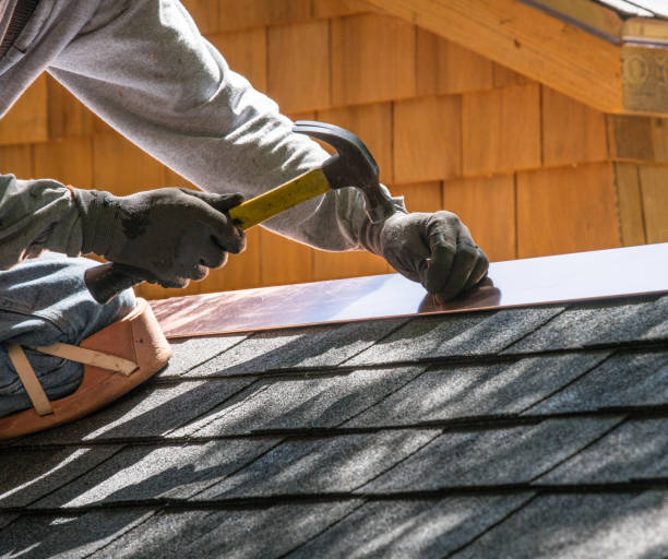 Best Roof Gutter Cleaning  in Beloit, OH